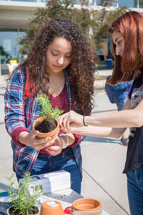 Students plant herbs at EcoFest. 