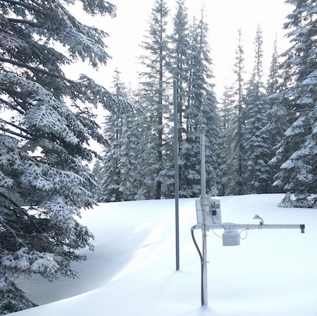 An electronic sensor device stands in a snowy forest opening surrounded by snow-covered pine trees.