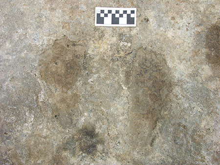 Footprints and handprints helped the researchers date the activities of early settlers.