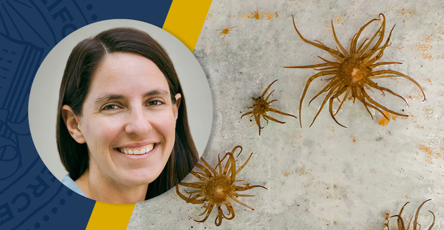 Professor Maggie Sogin's research interests in the Molecular Cell Biology Department at UC Merced are understanding host-microbial interactions across marine ecosystems.