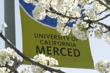 UC Merced flag