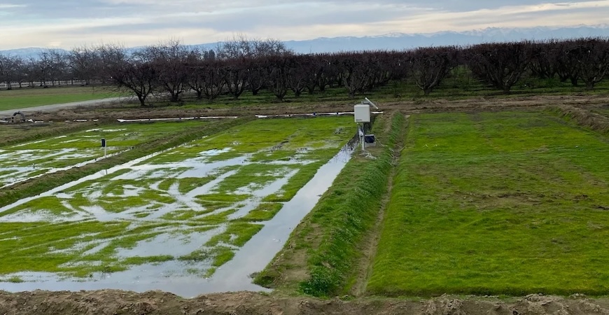 Photo depicts an irrigated field. 