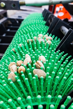 Brush-like harvester for almonds