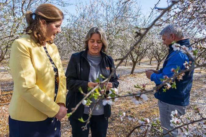 Josette Lewis, Almond Board vice president, center, tours the UC Merced Smart Farm in March with Vice Chancellor for Research Gillian Wilson and Associate Vice Chancellor for Research Joshua Viers.