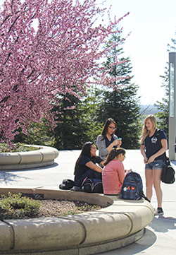 Students talking in a group