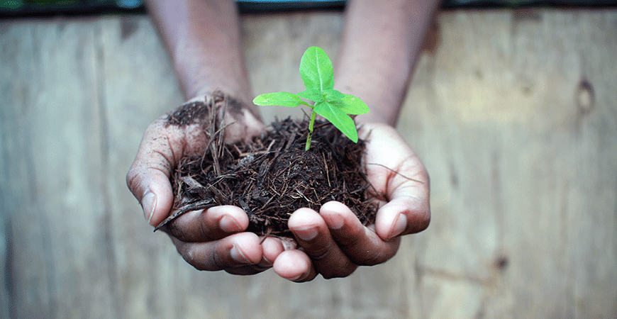 Composting hero