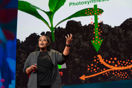 Professor Berhe delivering TED Talk
