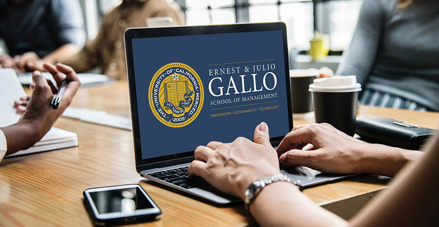 Gallo Banner