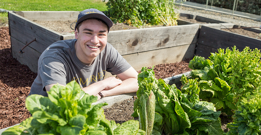 UC Merced campus garden