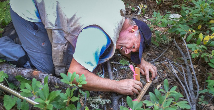 UC Merced Professor Stephen Hart studies soil depth
