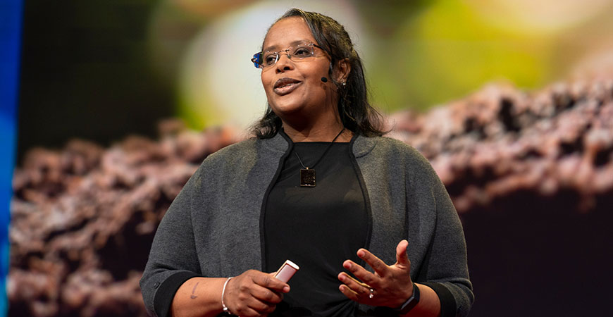 Professor Asmeret Asefaw Berhe