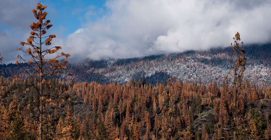 Sierra Mountains