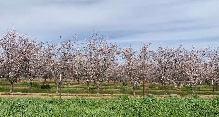 The future of agriculture will be discussed at a summit March 30.