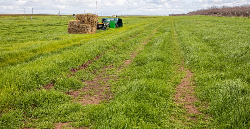 Photo depicts hay and a tractor at UC Merced's Experimental Smart Farm.