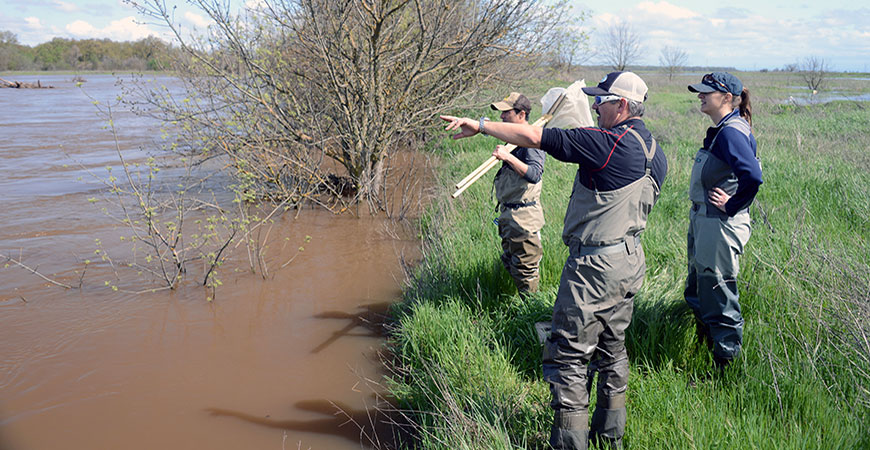 Professor Joshua Viers at the California Delta